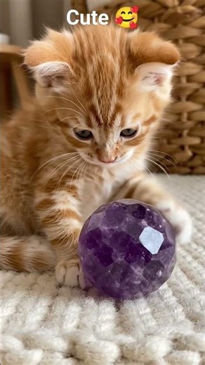cute cat playing with a crystal #crystal #cat