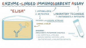 Video: ELISA (Enzyme-linked immunosorbent assay) - Video Explanation! | Osmosis | Osmosis
