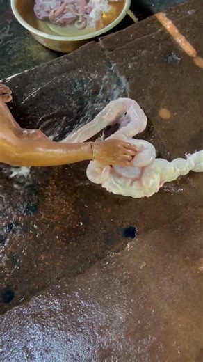 Pig Intestine Cleaning Process | Raw to Ready