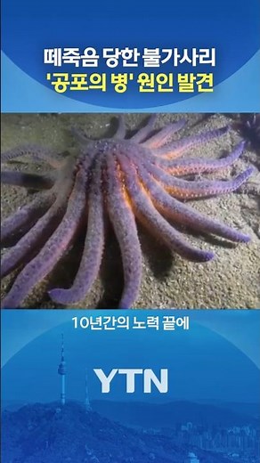 '불가사의' 전염병, 10년 만에... #shorts / YTN