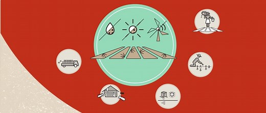 Food loss measurement | Technical Platform on the Measurement and Reduction of Food Loss and Waste | Food and Agriculture Organization of the United Nations