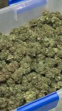 New conditions eligible for medical cannabis use in Illinois