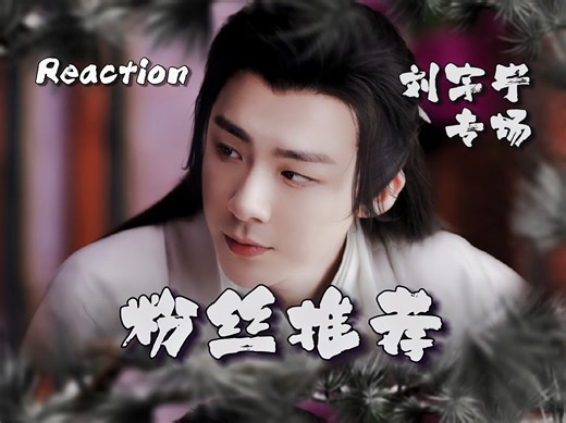 【啥都Re】刘宇宁影视 角色 CP向专场（上）｜充电特供