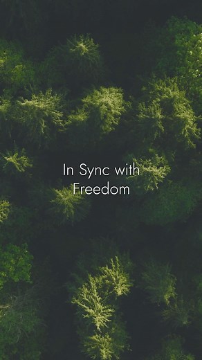 In Sync with Freedom. EBEL 1911 Globe in a 42mm case. Featuring a green galvanic dial with a yellow gold-plated iconic world map and a black ceramic bezel, Swiss automatic movement. Discover it: https://www.ebel.com/en/shop-watches/ebel-1911-1216665.html #EBEL #EBEL1911 #EBELWatch #SwissMade #SwissWatch #Craftmanship | EBEL