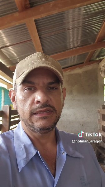 Caring for Calves: A Day on the Farm