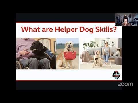 Helper Dog Skills | How Service Dog Tasks Are Really Built (Class virtual intro class- 1)