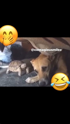 9.2K views · 225 reactions | Having Kids Be Like… | ContagiouSmilez | Facebook