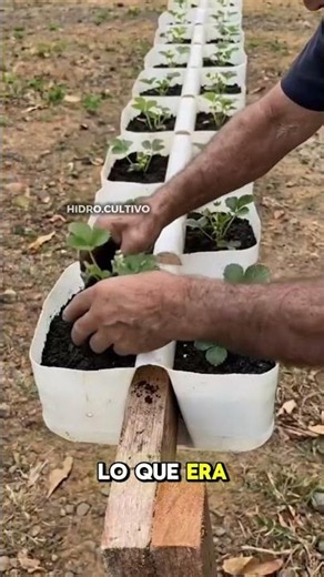 Learn Hydroponics #hydroponics