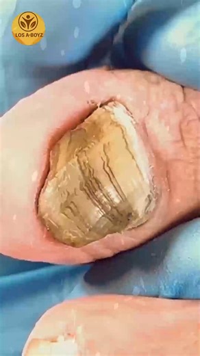 5.2K views · 41 reactions | Ep.1791 Grocery Receipts for Heart Nutrition Tracking #SmartBudget #NutritionGoals #HealthyHabits | LOS A-T BOYZ | Facebook