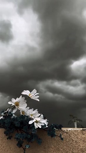 Chal Chal Tu Apni: Pehchan Lunga Song - Full Lyrics