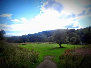 Kevin MacLeod: Sunshine - Acoustic Pop Music (Royalty-free)