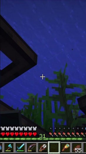 We've Discovered a Shipwreck in Minecraft