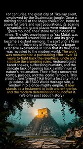 1.4K views · 17 reactions | The lost Maya city of Tikal, once swallowed by the jungle, was rediscovered by modern archaeology. #archaeology #ancienthistory #historylovers | Ancient Records | Facebook