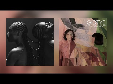 Anxiety x Somebody That I Used To Know (Full TikTok Remix)