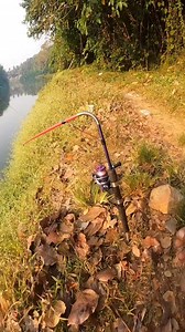 70K views · 521 reactions | ഇത് എങ്ങനെ യുണ്ട് ? #marlintackles #fish #fishingvideos #fishing | Real Life Anglers | Facebook