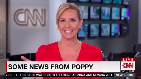 JUST IN: Poppy Harlow Announces She’s Stepping Away From CNN Newsroom to Pursue Masters Deg ...