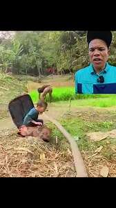 1.1M views · 5.6K reactions | Se #Escondio el #niño #challenge #viralreelsfacebook | El amarillo Mejía | Facebook