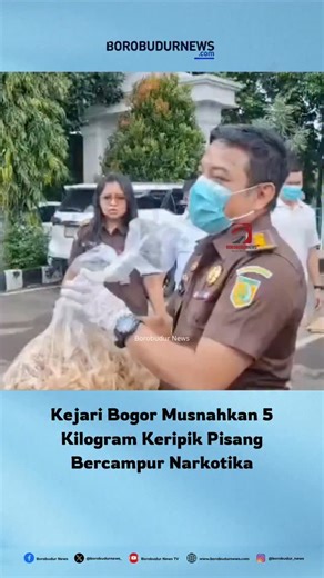 Borobudurnews | Media Online on Instagram: "🚨🔥 Kejari Bogor Musnahkan 5 Kg Keripik Pisang Bercampur Narkotika 🔥🚨 Keputusan mengejutkan dilakukan Kejaksaan Negeri (Kejari) Kabupaten Bogor, yang memusnahkan sekitar 5 kilogram keripik pisang yang ditemukan mengandung narkotika sebagai barang bukti hasil perkara yang sudah berkekuatan hukum tetap. Barang bukti unik ini ditemukan di wilayah hukum Kabupaten Bogor dan diperkirakan disemprot zat narkoba sebagai modus baru dalam peredaran gelap narko
