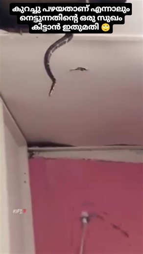 4.1K views | MARKET PRO #0001 | Market PRO | Facebook