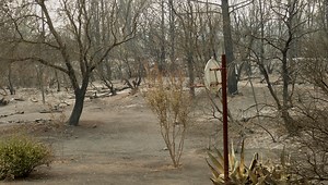 Nine tips to clean that Carr Fire ash from your yard