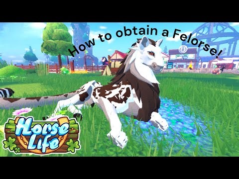 How to obtain a Felorse! (Beginner friendly)