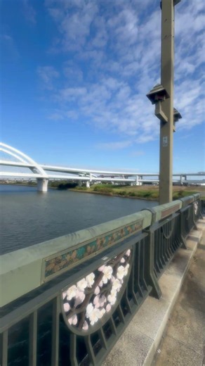 2024年10月24日 五色桜大橋 江北橋 #日本武道館 #軌跡 #即興