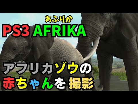 AFRIKA【#15】【アフリカゾウの赤ちゃん】【PS3 アフリカ】【ゲーム】【攻略】【gameplay】