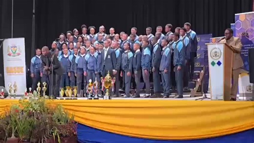 Halala Ngwane - We Tried Our Best: A Musical Journey