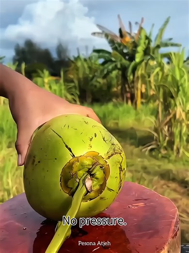 Clean Cuts Only | Satisfying Food Prep #cleanknife #foodprep #satisfyingvideos #asmrfood #cuttingvideos