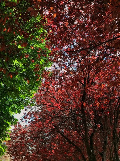 Exploring the beauty of JenLisa: Like a River