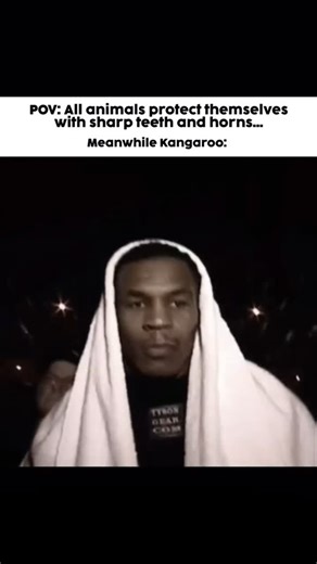 @maxculineurges on Instagram: "To SHAVE ASS HAIR, follow these steps: 1. **Trim Hair (Optional but recommended)**: If the hair is long, use scissors or a body hair trimmer to shorten it. This step helps make shaving easier and more effective. 2. **Take a Warm Shower**: The warmth and steam from the shower will soften the hair and open your pores, making the shaving process smoother and less irritating. 3. **Use Shaving Gel or Cream**: Apply a generous amount of shaving gel or cream to the area. 