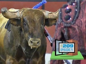 Studio209 | Portuguese Bullfights