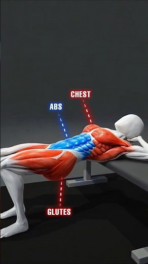 Hit 3 muscle groups with just one bench