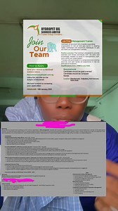 Effective CV Template for Job Seekers