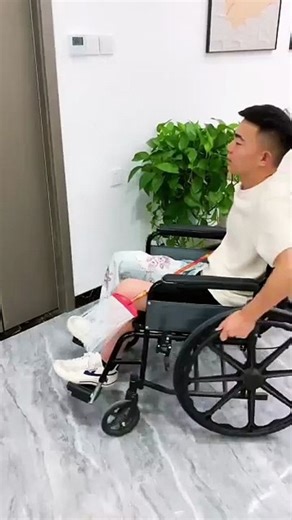 Extended Fly Swatter