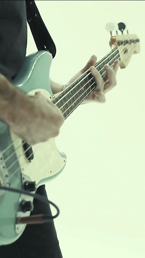 Atticus Chimps on TikTok