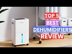 Top 5 Best Dehumidifiers Review in 2025 | Best Home Dehumidifiers for Damp Rooms & Basements