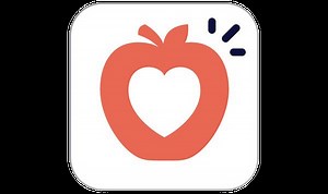 TD Snap for Windows 中文版 - Sense 森思眼動