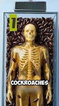 Top 4 VIRAL Insects That Would Eat You The Fastest😱🪳