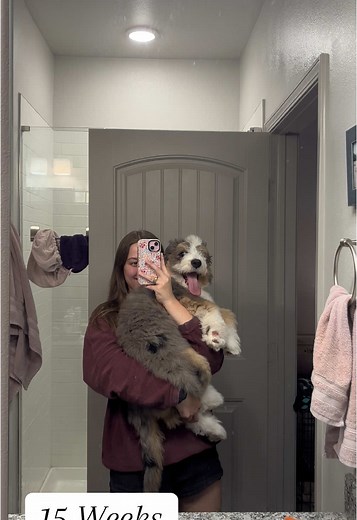 The growth of Mabel! A new apartment and a month after her first birthday later, I finally finished this video!🥹🤎