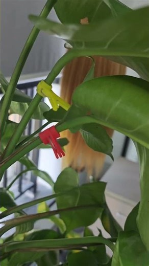 Tired of clips that break easily? Try ours,strong,flexible,and made to last.Direct from our factory.