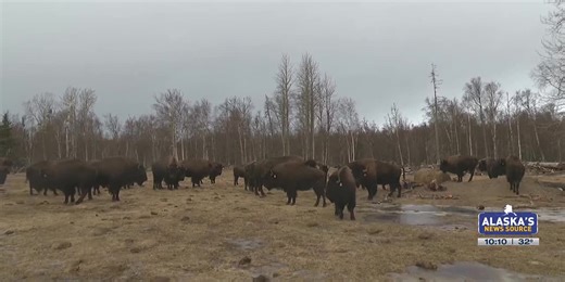 Alaska farmer discusses food insecurity as Dunleavy aims to bolster agriculture