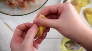 Wonton Noodle Soup (广式云吞面)