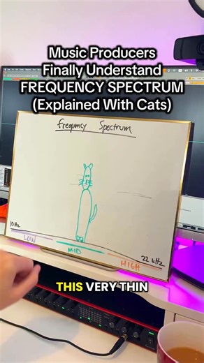 LNA Does Audio Stuff - Tutorials | Wonder what my neighbours think I do for work 😬😻Let me know if this tutorial on the frequency spectrum helped. The next one will be on EQ... | Instagram