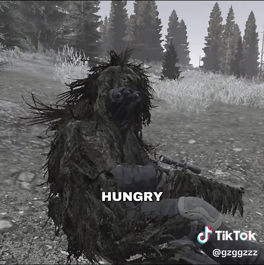 Understanding DayZ Gameplay Tips