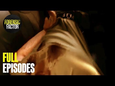 Rampage in Ontario & The Murder of a Probation Officer | Forensic Factor Double Episode