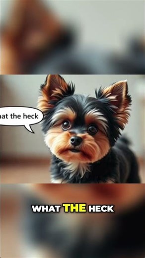 What Millionaires Throw Out 😲🔥| Ep.2 #trashtotreasure #curbsidepickup