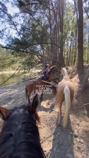 I’ll never get enough of riding through this beautiful country which i’m grateful to call home ❤️ #australia #horse #horses #horseriding