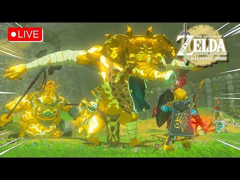 Zelda TOTK MASTER MODE Has FULLY Released..