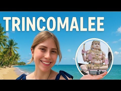Living the Island Life in Trincomalee 🐬 Sri Lanka Travel Vlog